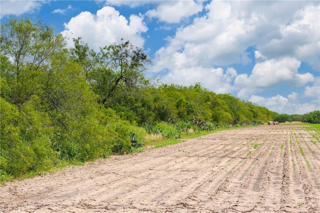 60 acres in Jim Wells County - photo 7