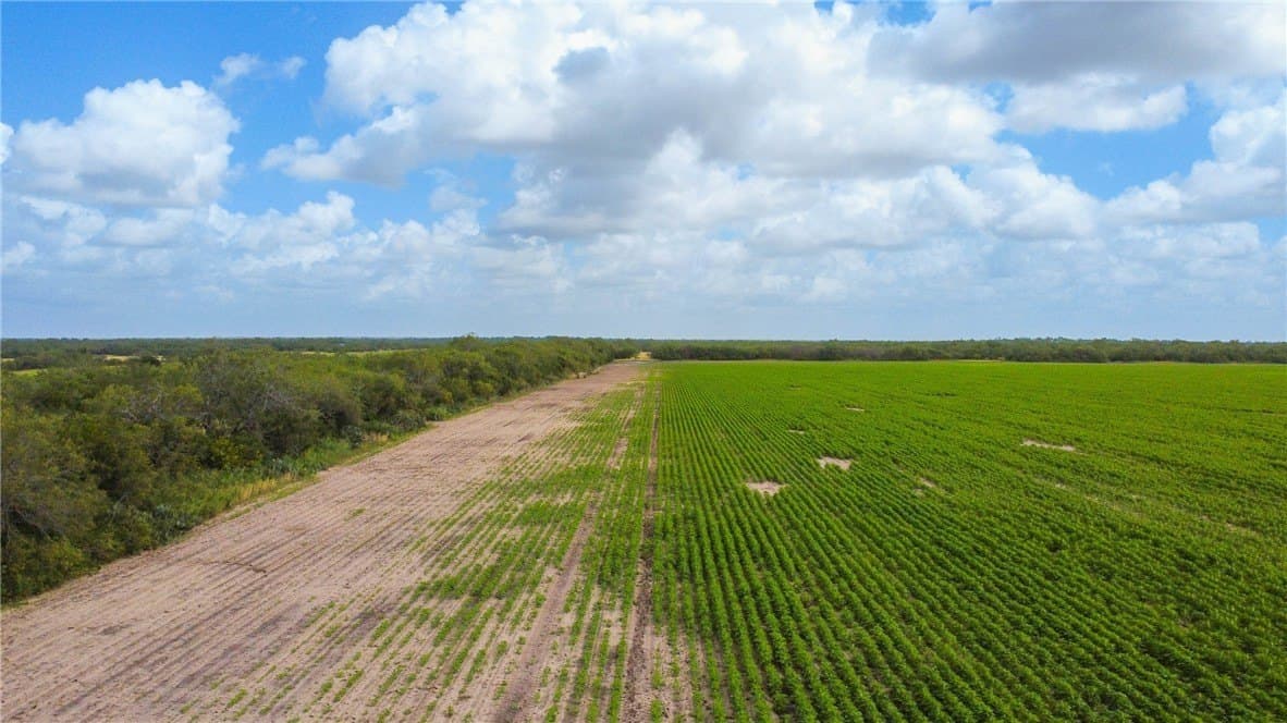 60 acres in Jim Wells County - photo 2