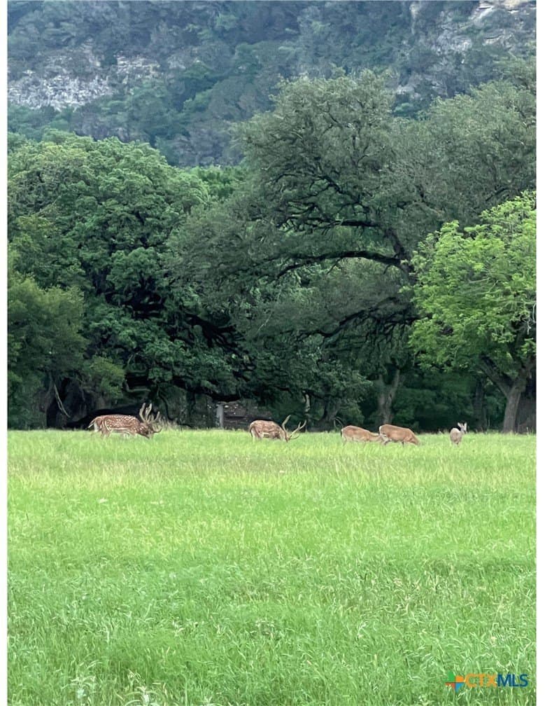 1.17 acres in Comal County - photo 21