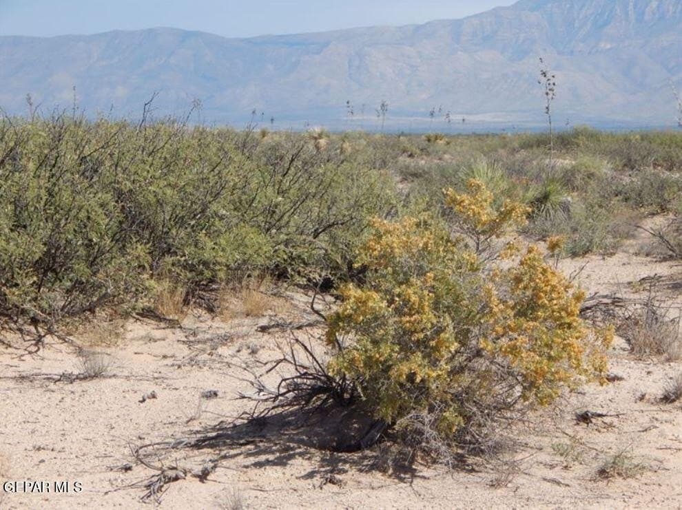 100.84 acres in Hudspeth County - photo 13