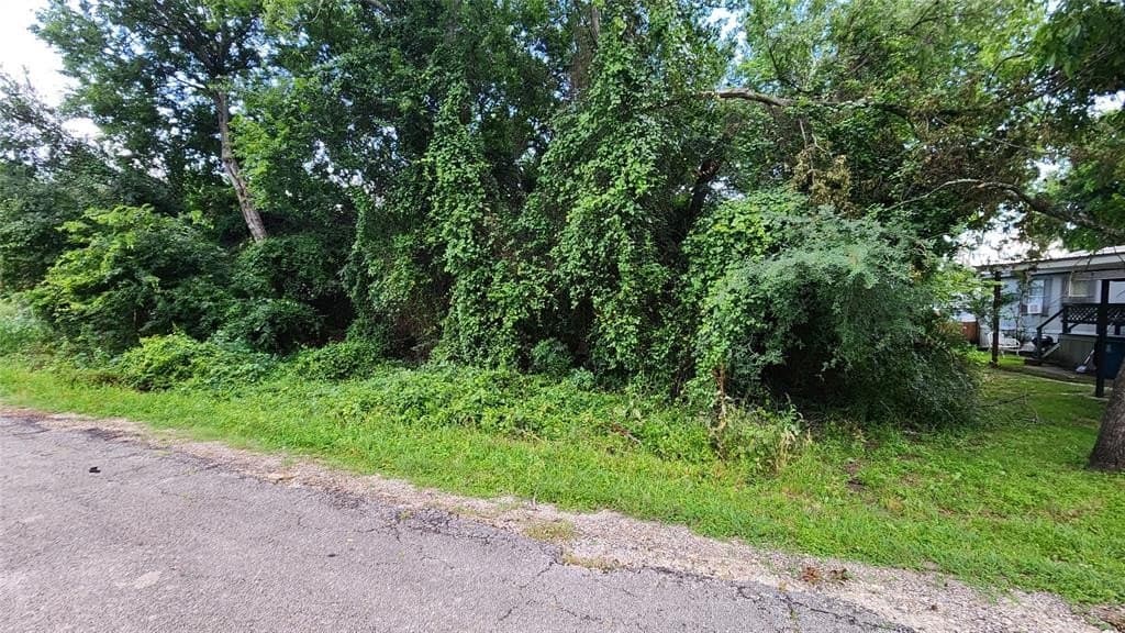 0.17 acres in Hood County - photo 7