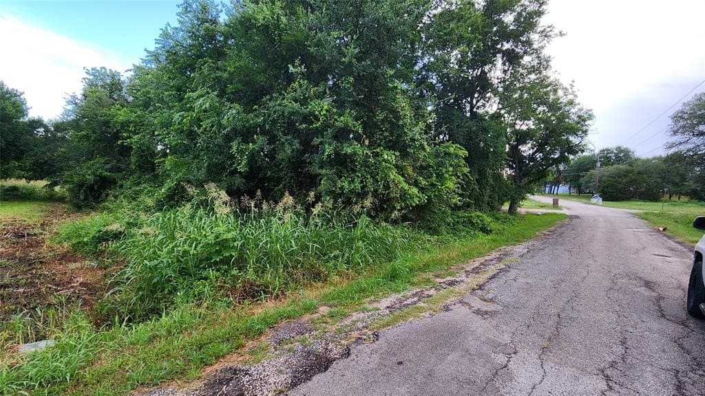 0.17 acres in Hood County - photo 6