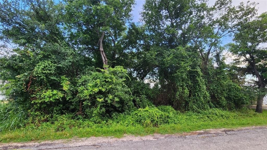0.17 acres in Hood County - photo 5