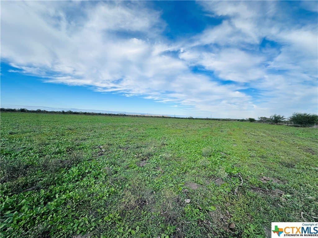 48 acres in Karnes County - photo 27