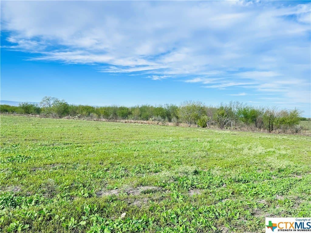 48 acres in Karnes County - photo 25