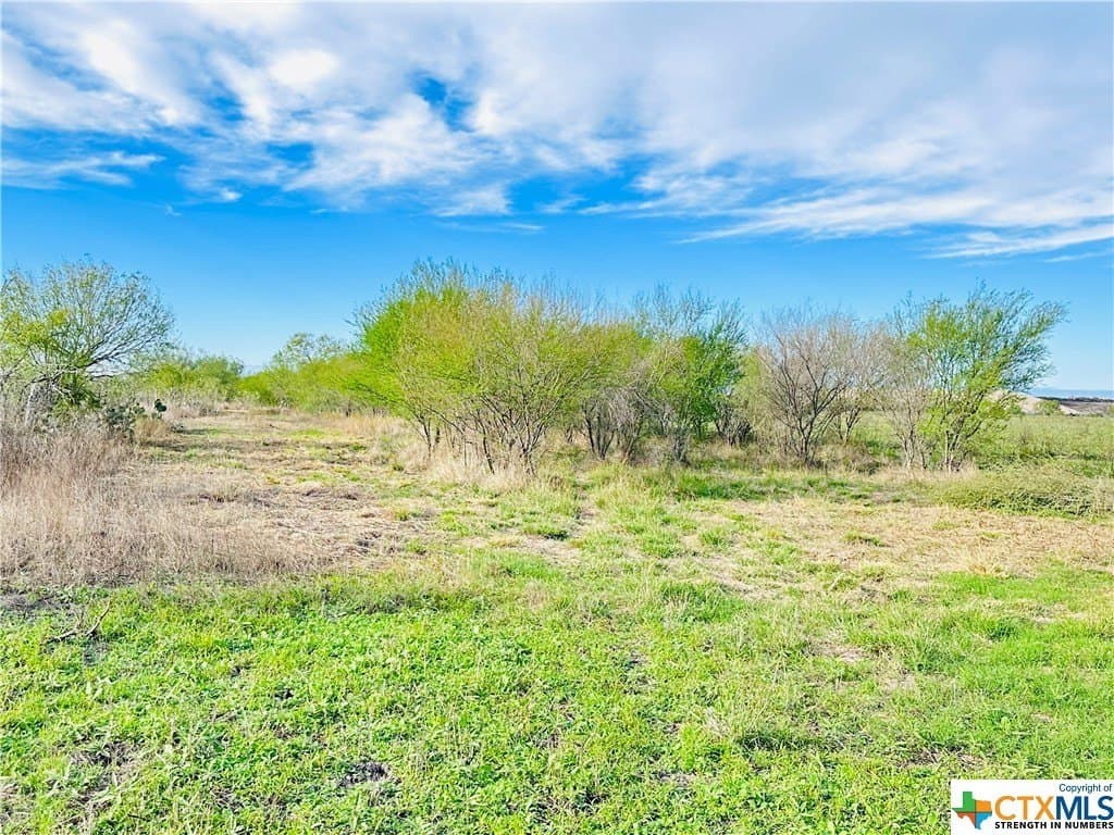 48 acres in Karnes County - photo 24