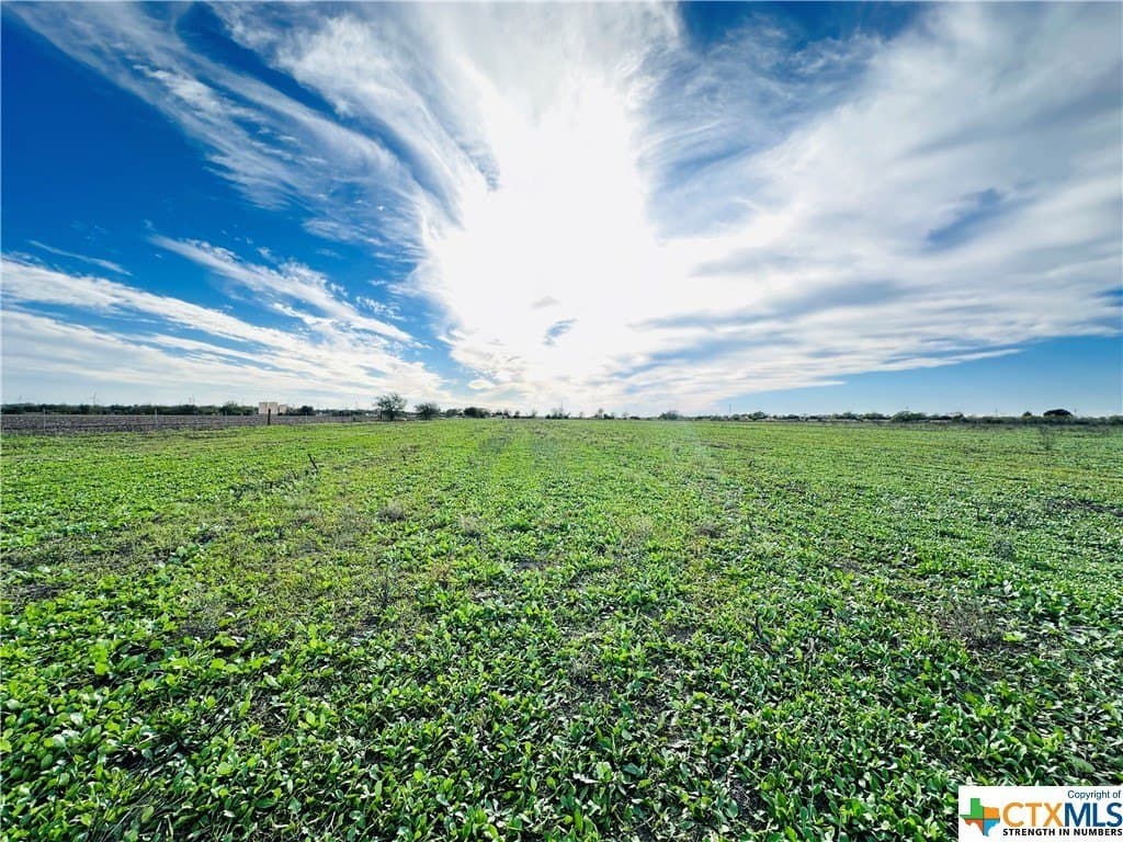 48 acres in Karnes County - photo 26