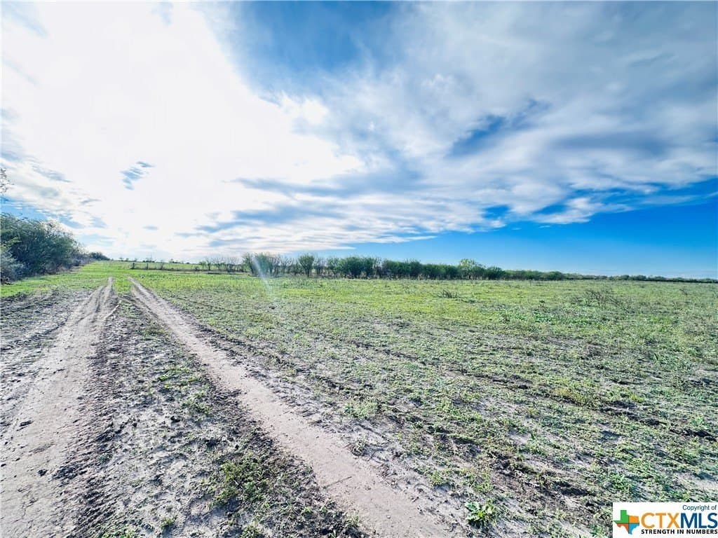 48 acres in Karnes County - photo 21