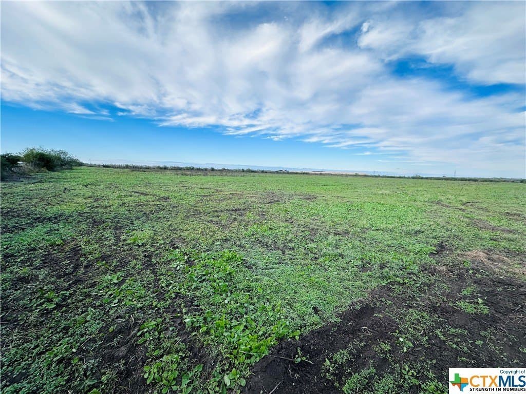 48 acres in Karnes County - photo 29