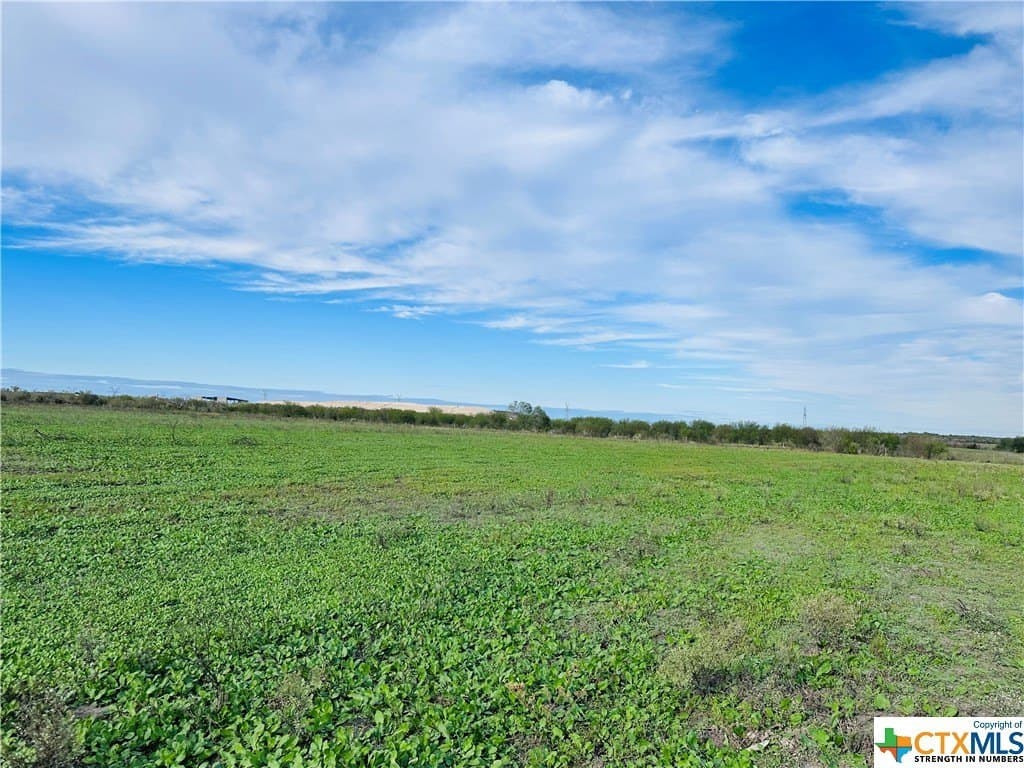 48 acres in Karnes County - photo 28