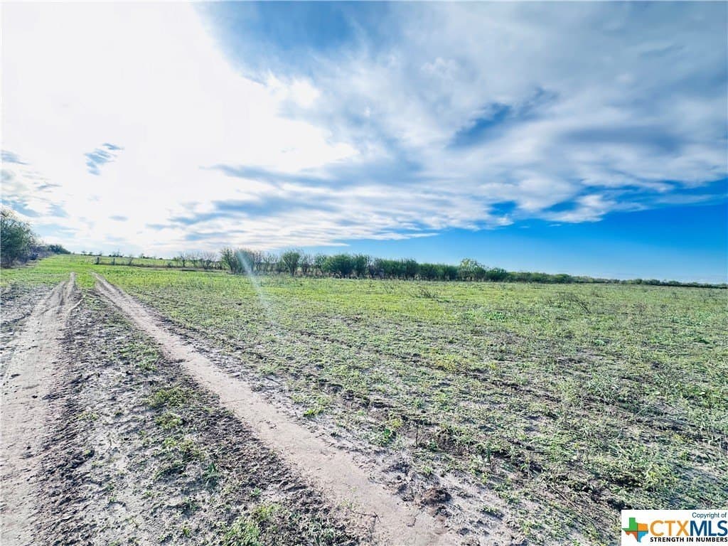 48 acres in Karnes County - photo 22