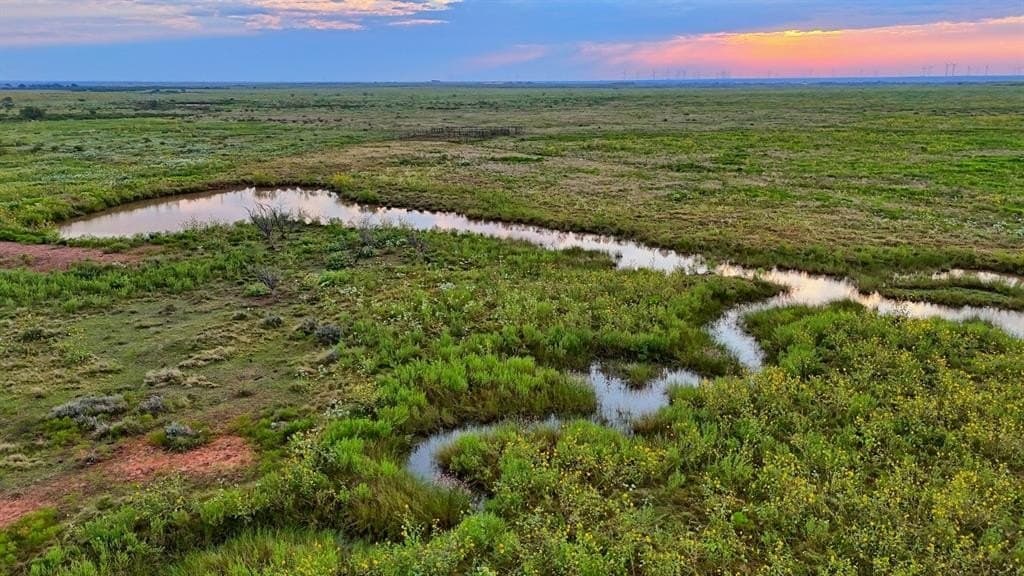 430 acres in Archer County - photo 5