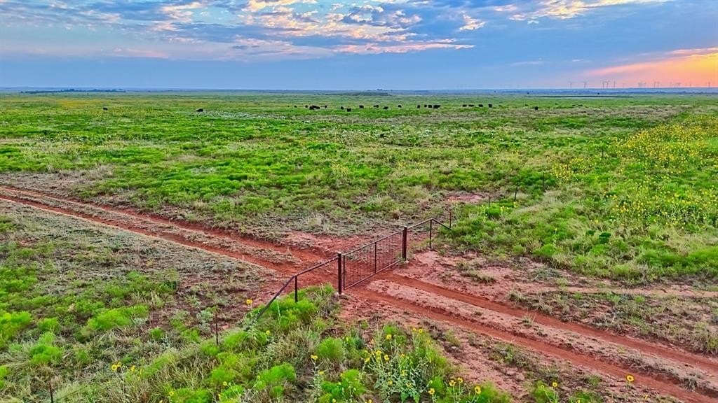 430 acres in Archer County - photo 13