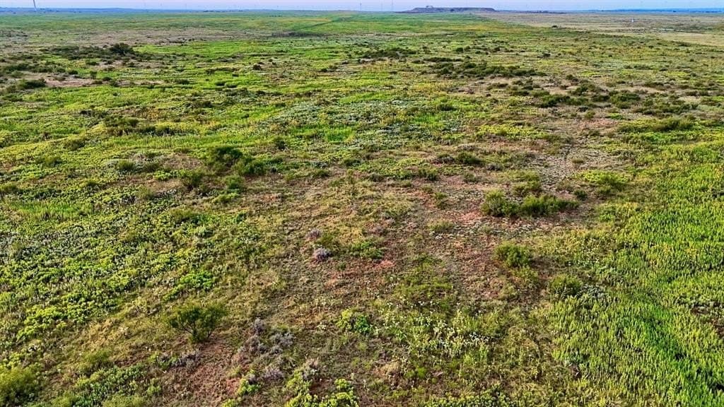 430 acres in Archer County - photo 10