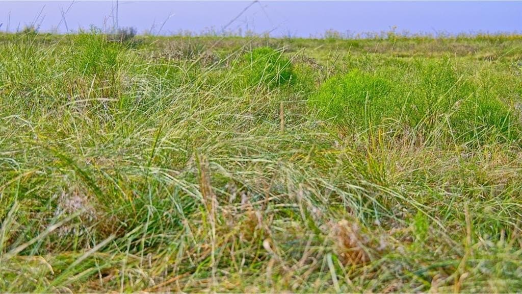 430 acres in Archer County - photo 15