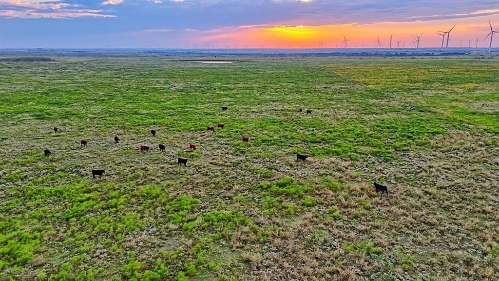 430 acres in Archer County - photo 7