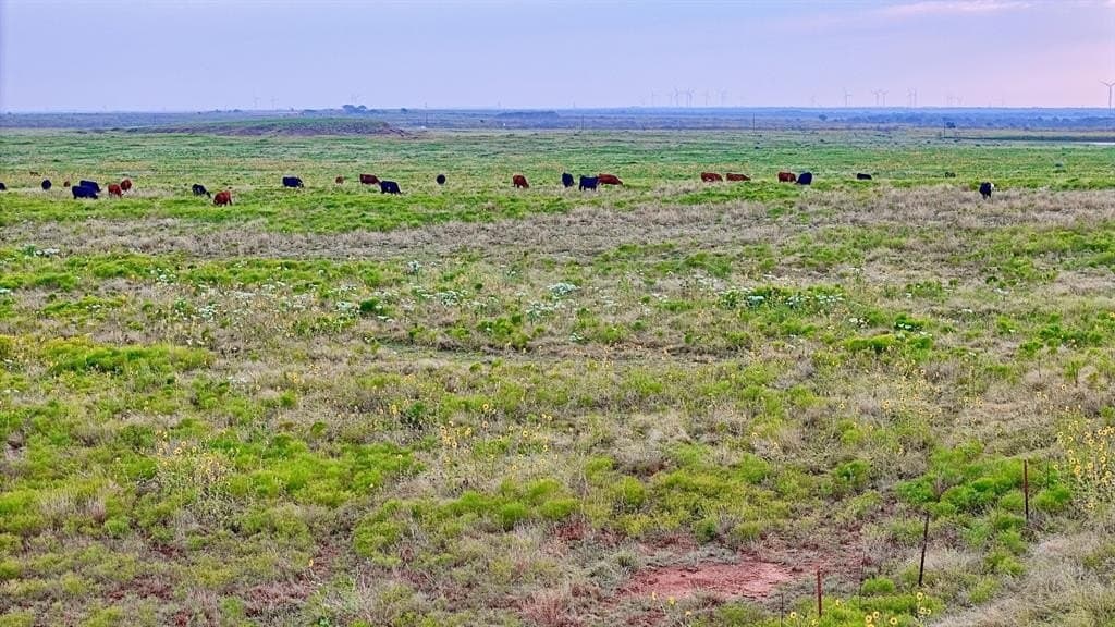 430 acres in Archer County - photo 8