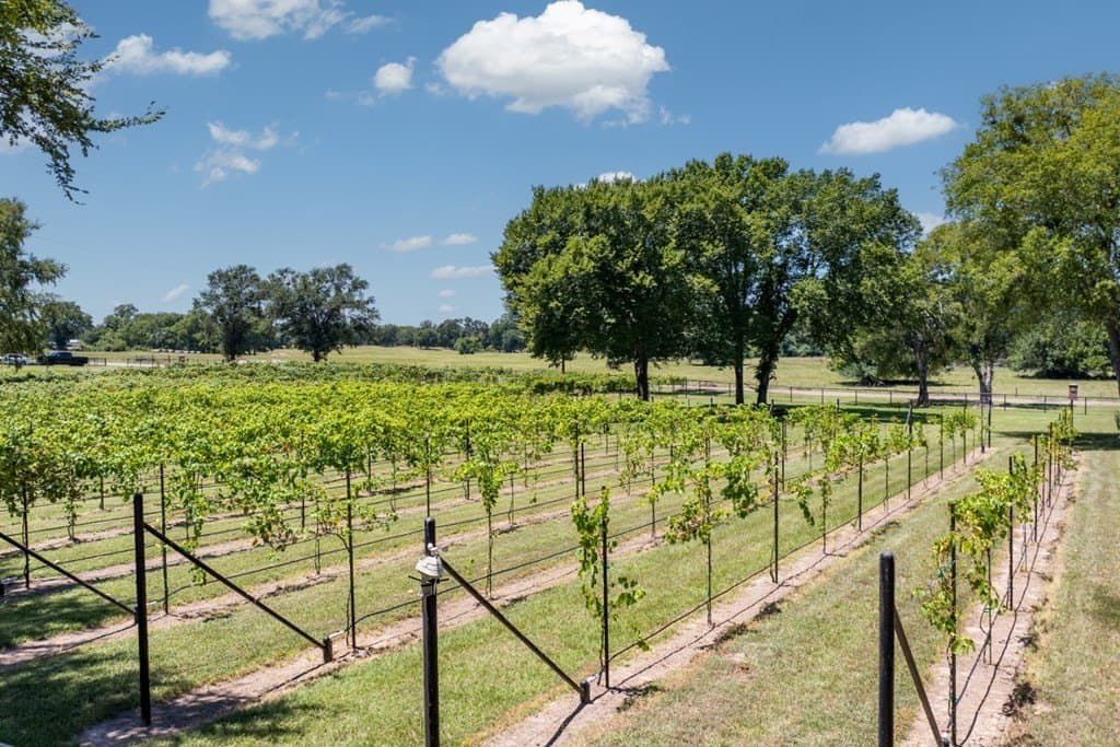 20.54 acres in Van Zandt County - photo 65