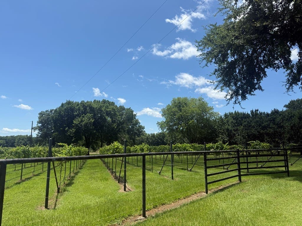 20.54 acres in Van Zandt County - photo 64