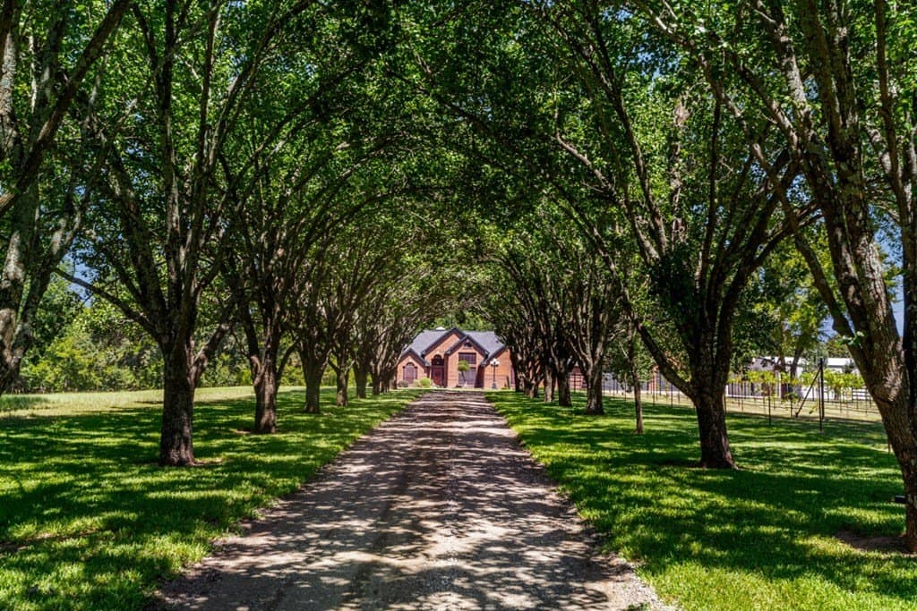 20.54 acres in Van Zandt County - photo 4
