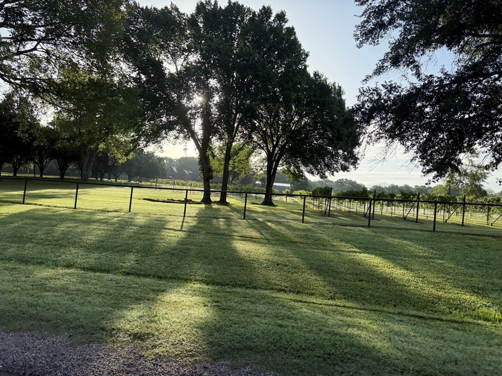 20.54 acres in Van Zandt County - photo 63