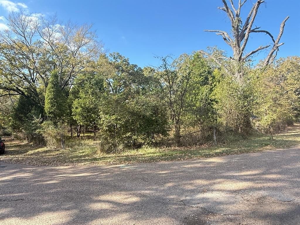 0.77 acres in Henderson County - photo 5
