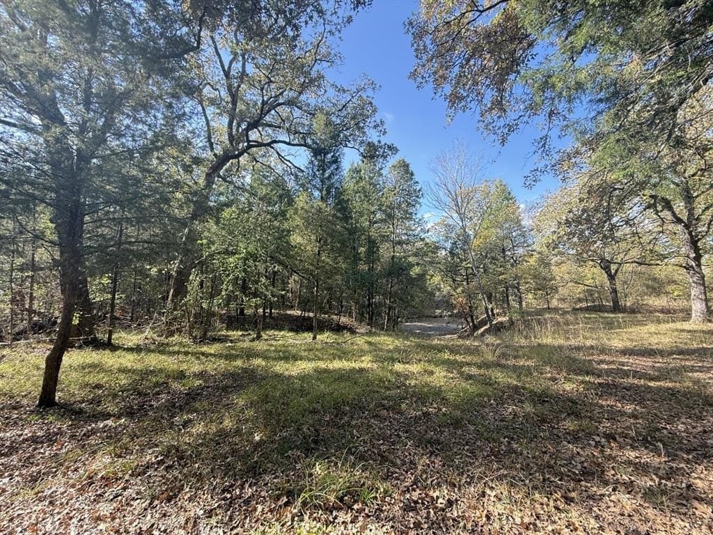 0.77 acres in Henderson County - photo 8
