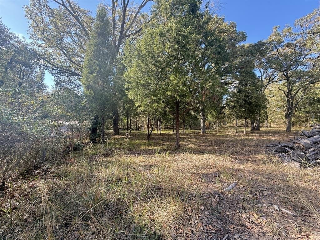 0.77 acres in Henderson County - photo 6