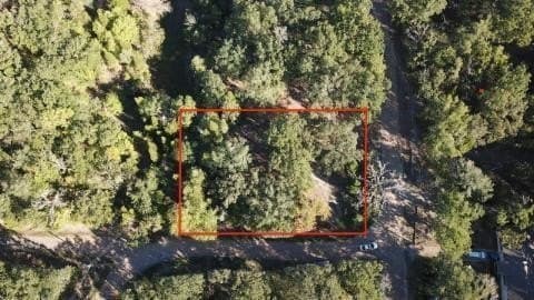 0.77 acres in Henderson County - photo 3