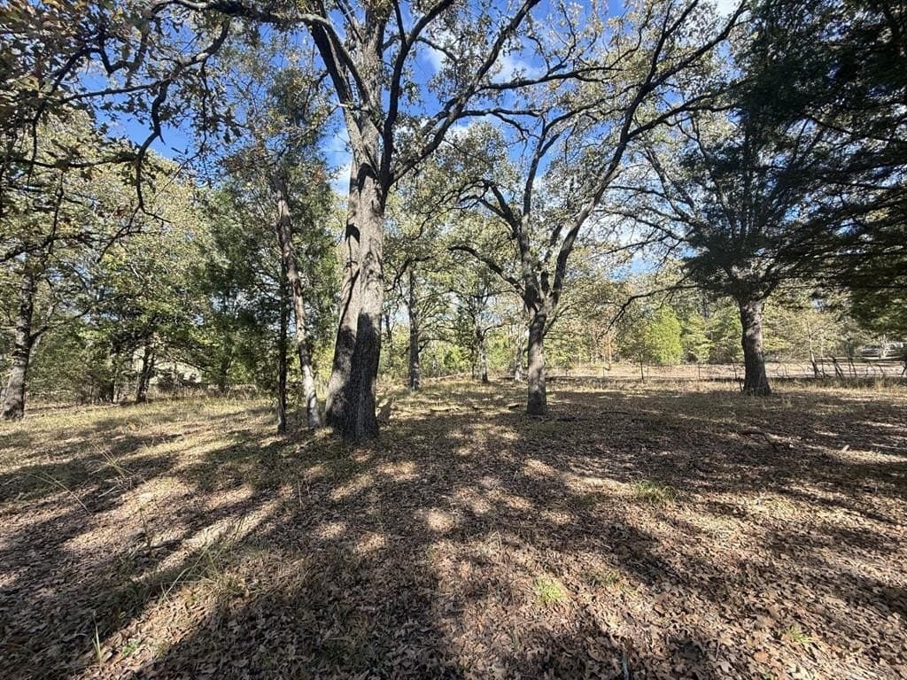 0.77 acres in Henderson County - photo 10