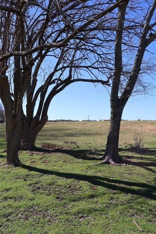 11.1 acres in Cooke County - photo 9