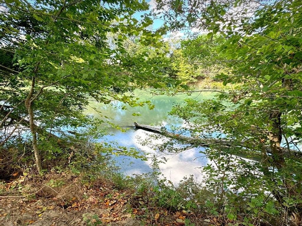 105.4 acres in Caldwell County - photo 8