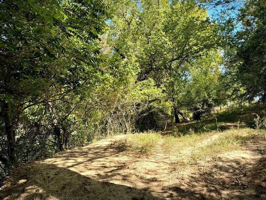 105.4 acres in Caldwell County - photo 23