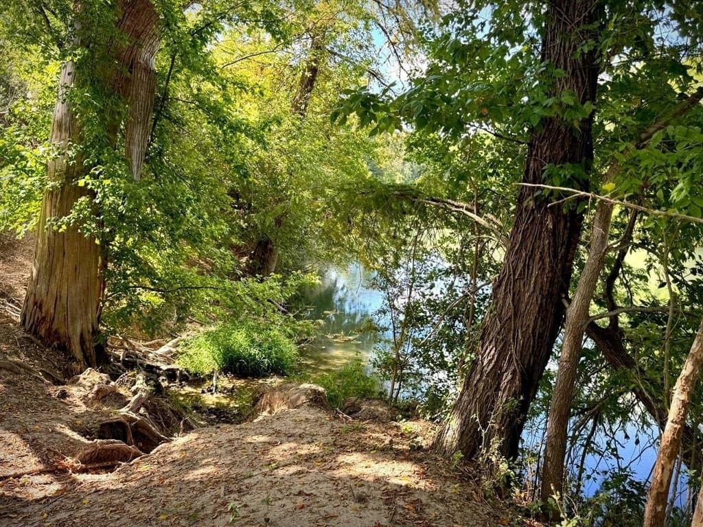 105.4 acres in Caldwell County - photo 11