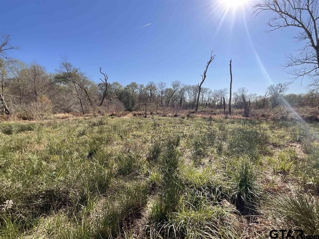 45.36 acres in Smith County - photo 11