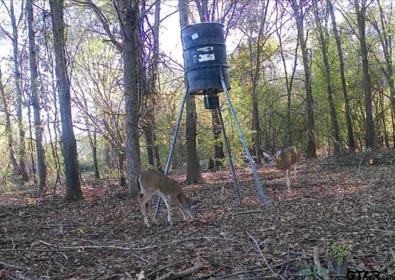 45.36 acres in Smith County - photo 7