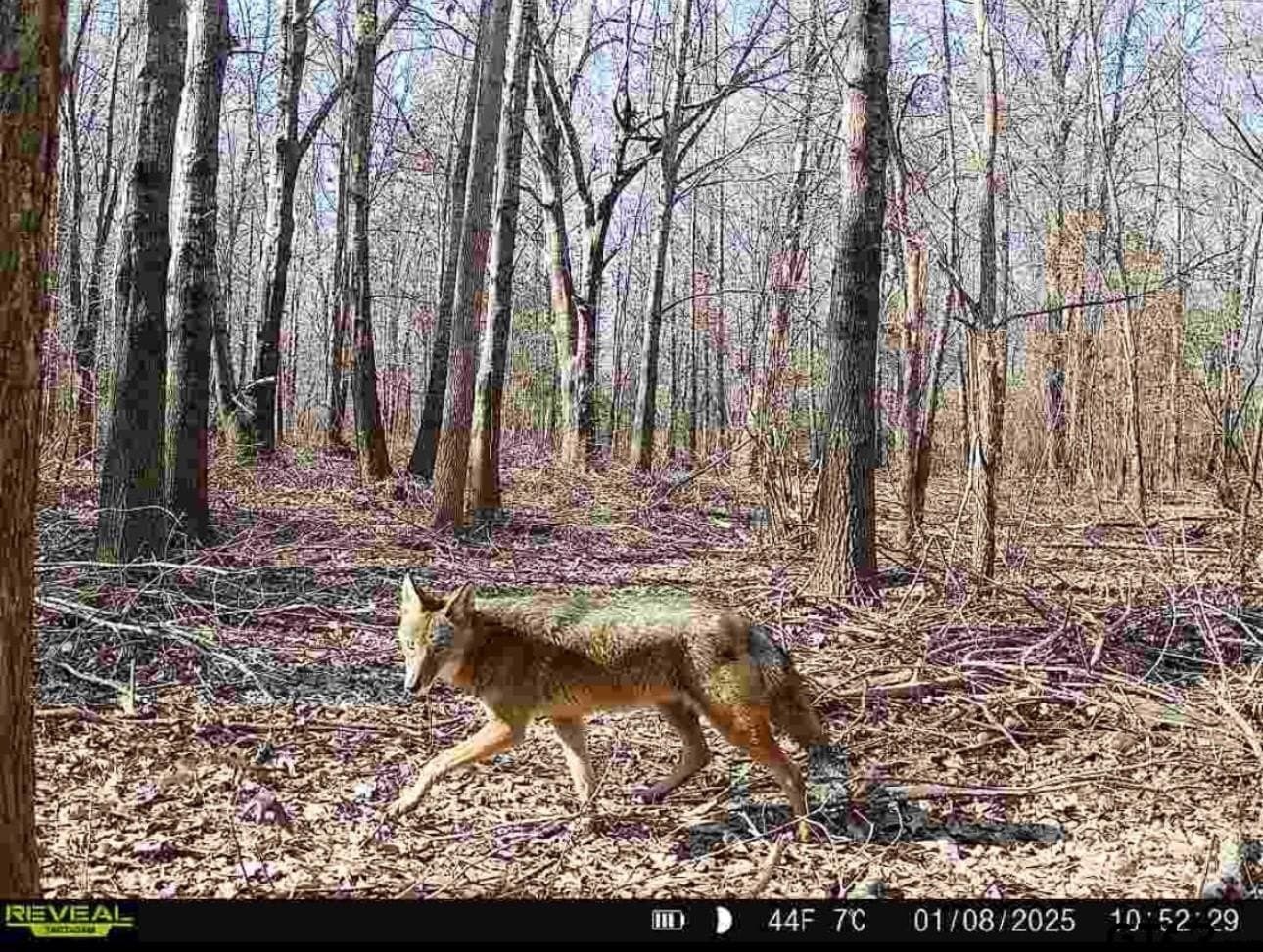 45.36 acres in Smith County - photo 9