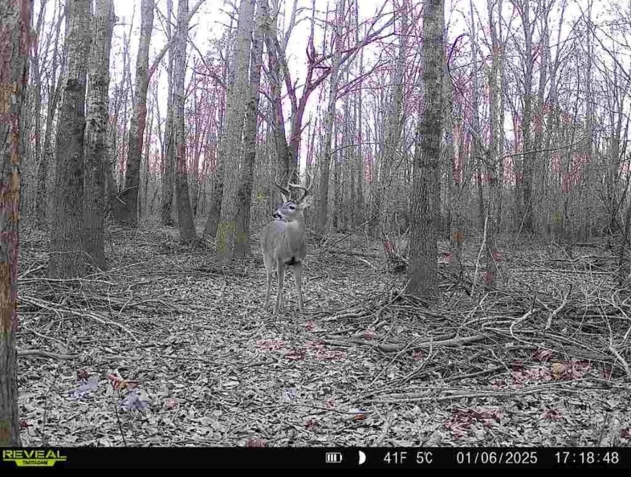 45.36 acres in Smith County - photo 6