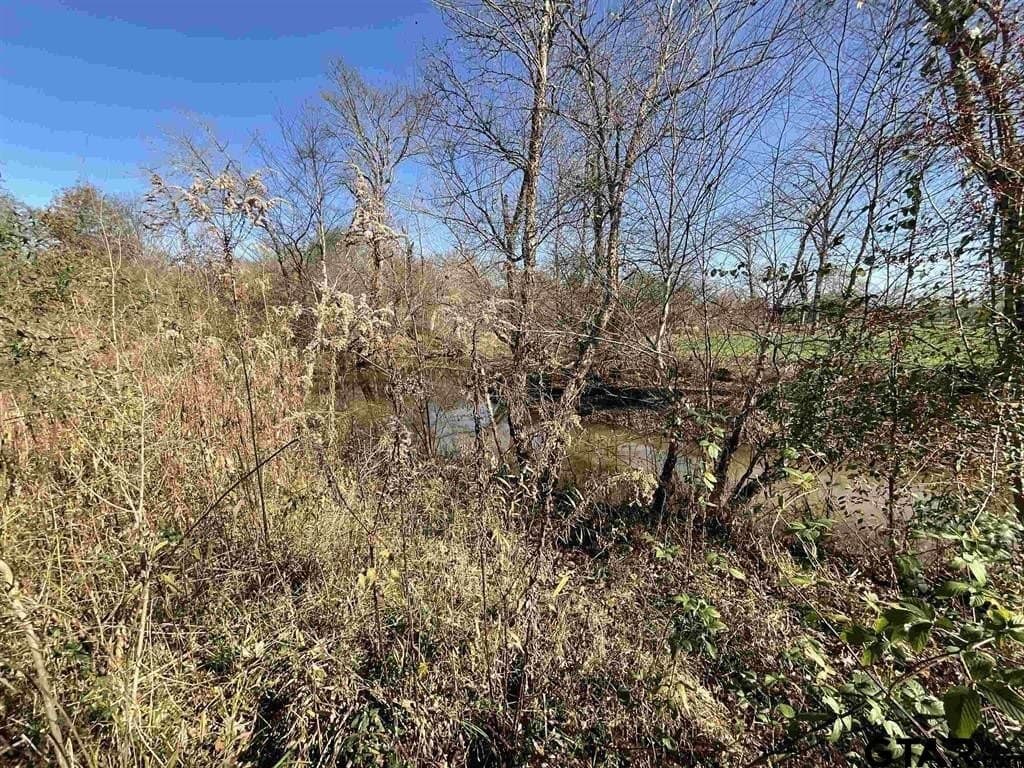 45.36 acres in Smith County - photo 12
