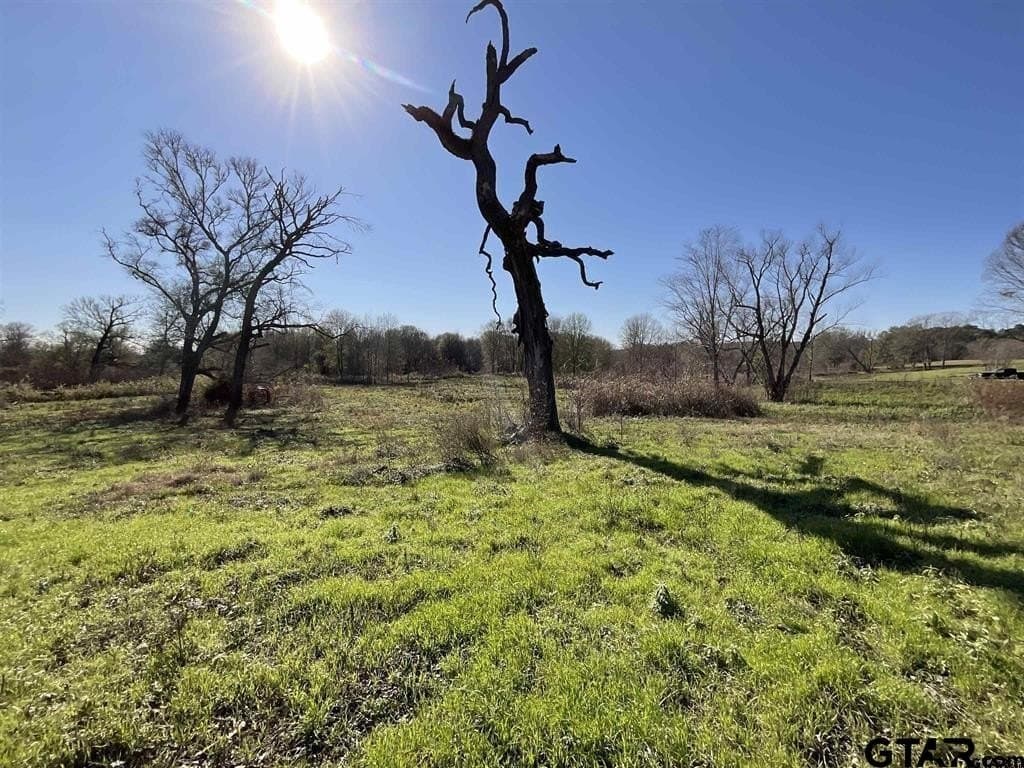 45.36 acres in Smith County - photo 10