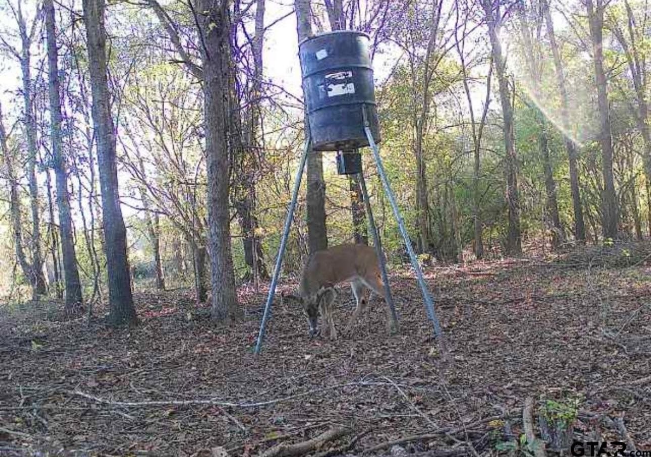 45.36 acres in Smith County - photo 8