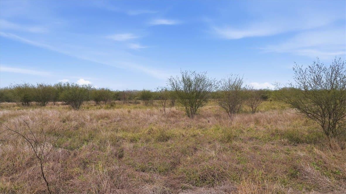 236.33 acres in Jim Wells County - photo 3