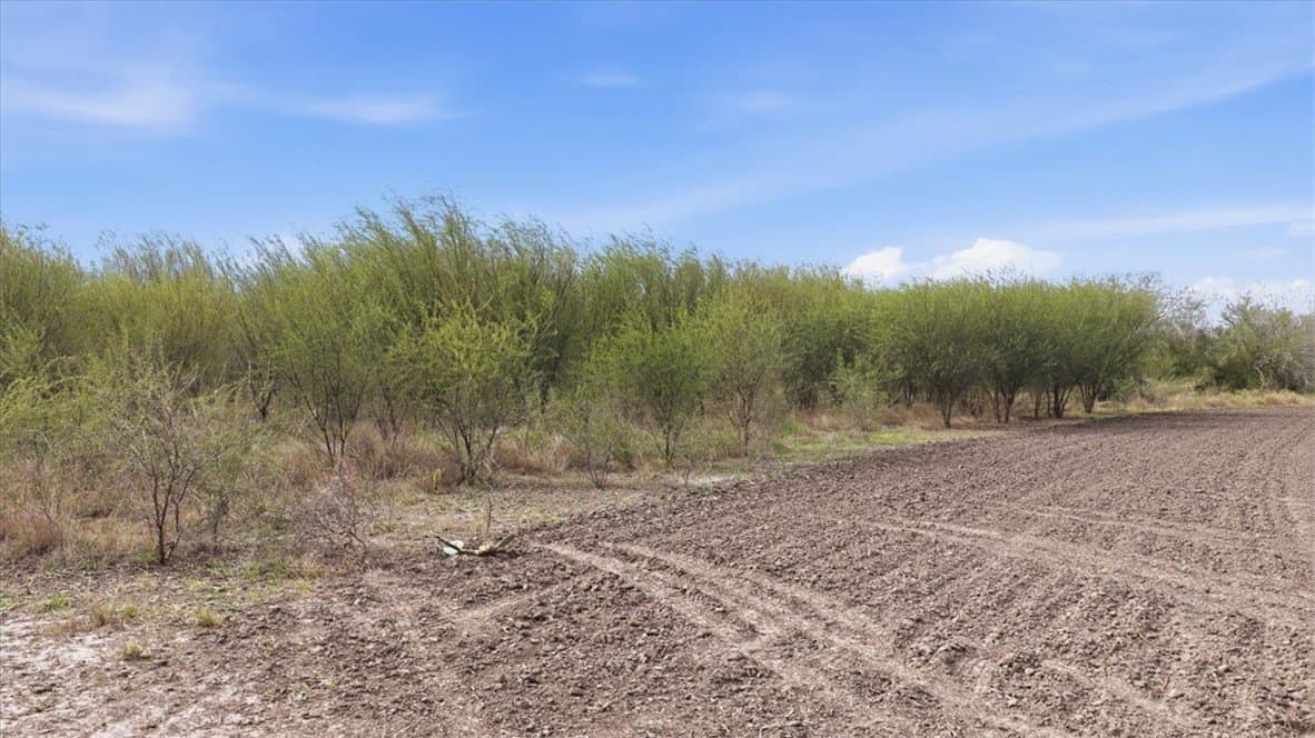 236.33 acres in Jim Wells County - photo 11