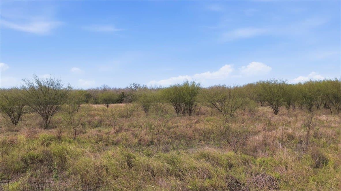 236.33 acres in Jim Wells County - photo 5