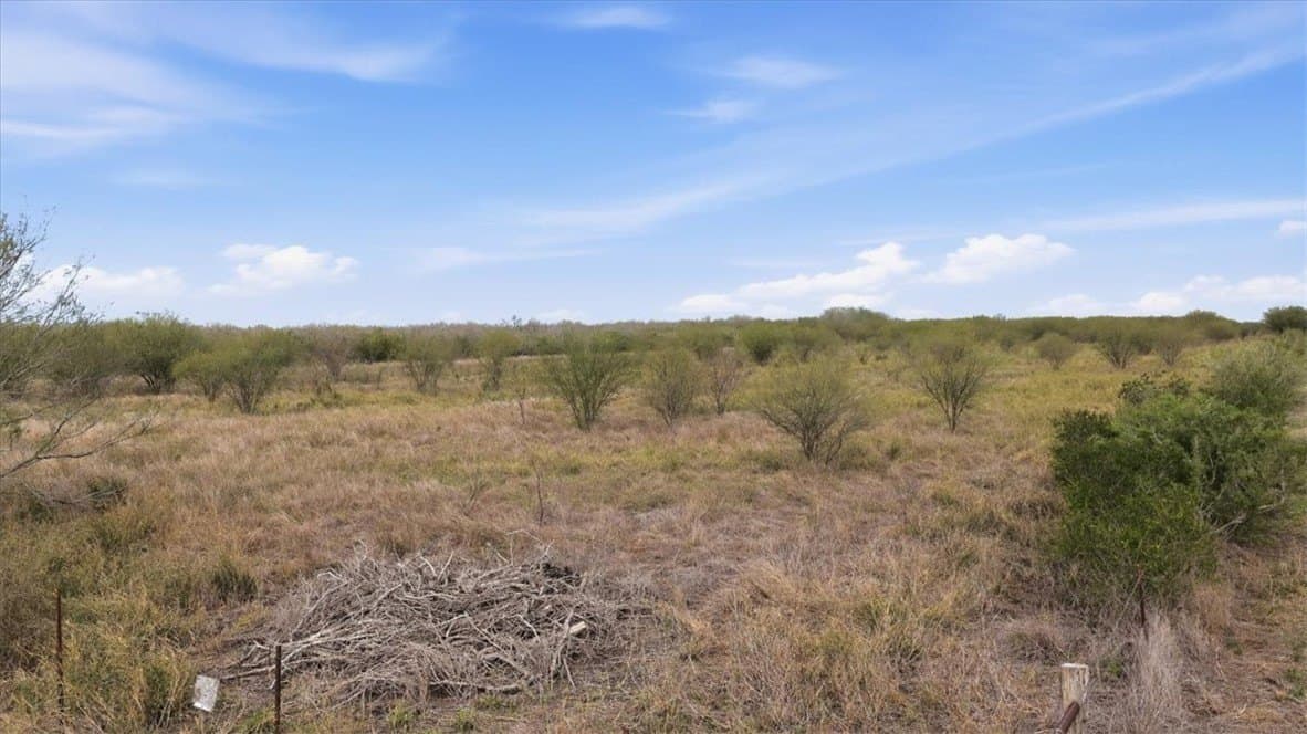 236.33 acres in Jim Wells County - photo 2
