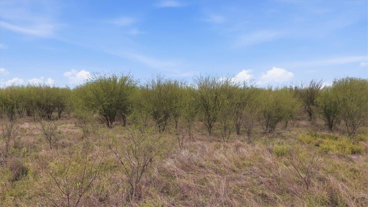 236.33 acres in Jim Wells County - photo 4