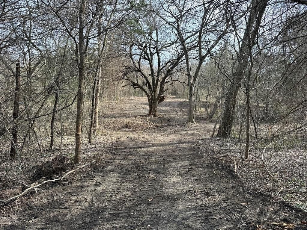 5.35 acres in Ellis County - photo 6