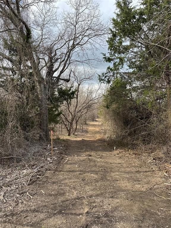 5.35 acres in Ellis County - photo 15