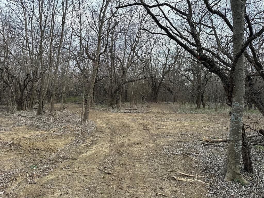 5.35 acres in Ellis County - photo 7
