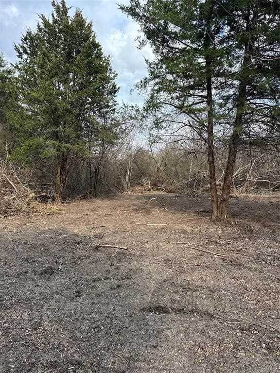 5.35 acres in Ellis County - photo 20